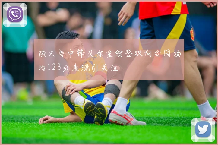 热火与中锋戈尔金续签双向合同场均123分表现引关注